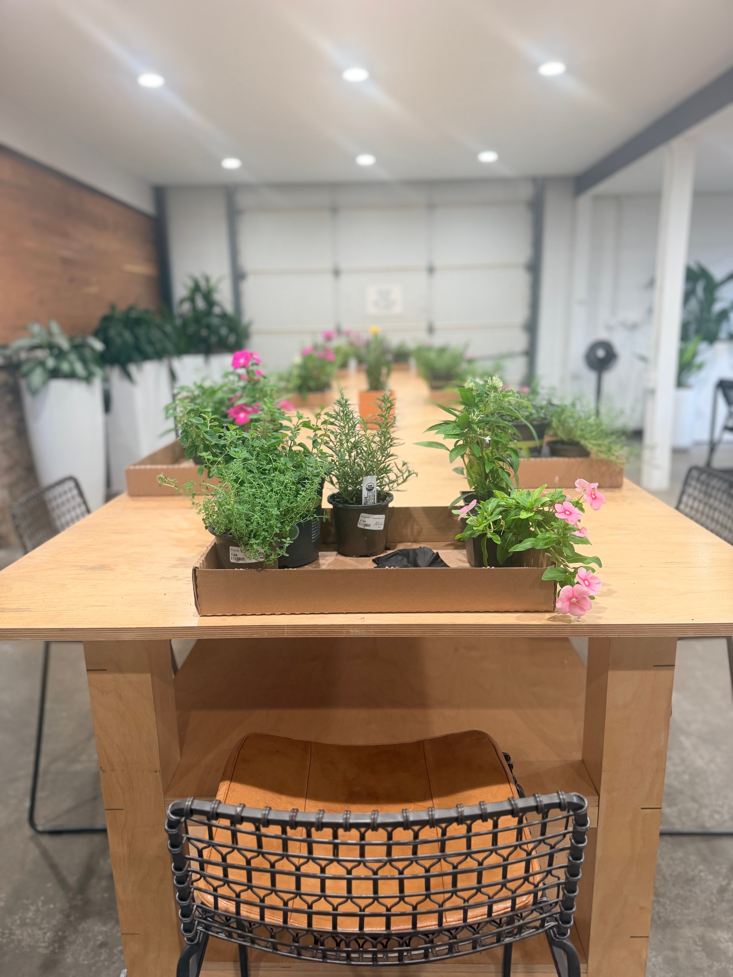 Garden-inspired cocktail workshop